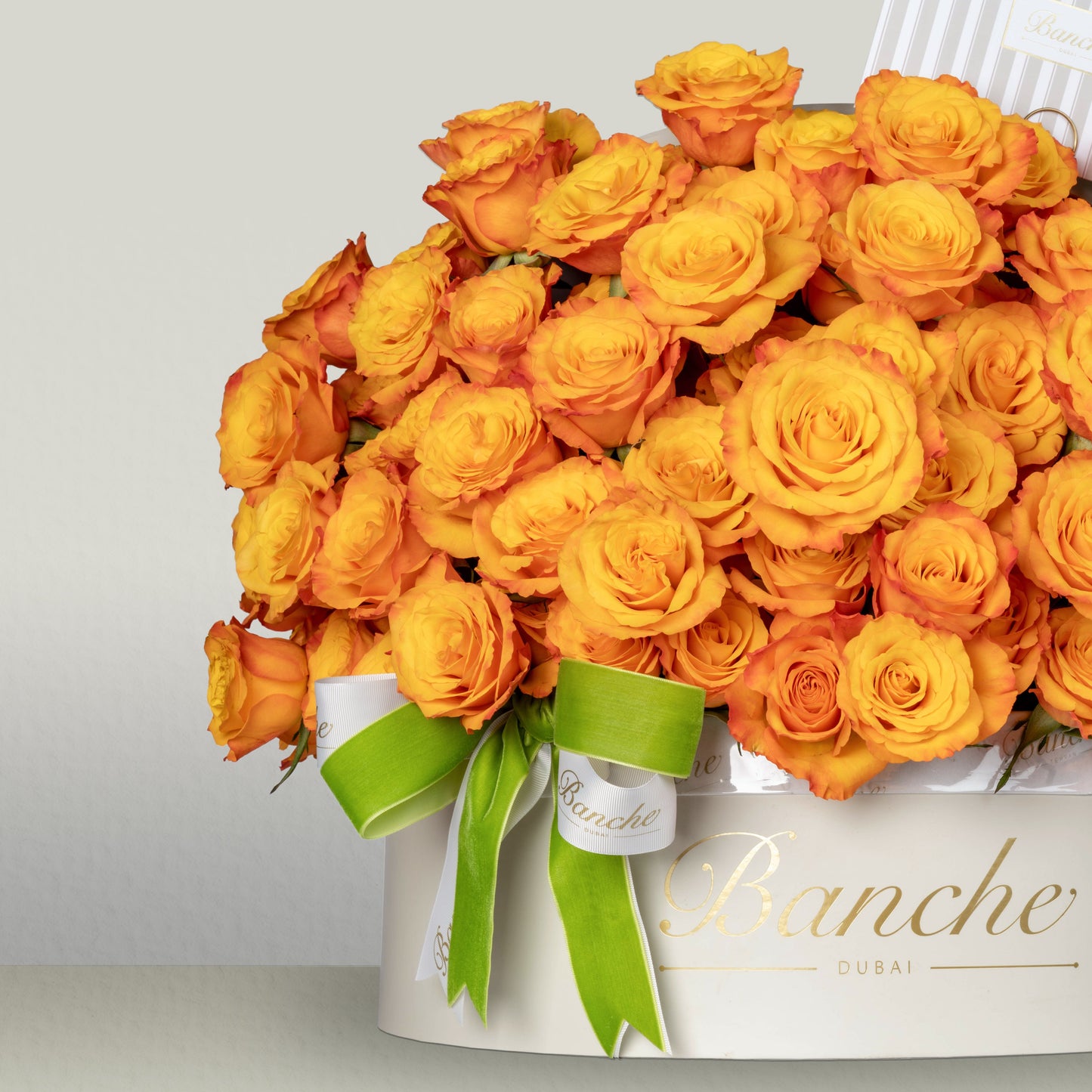 Orange Rose