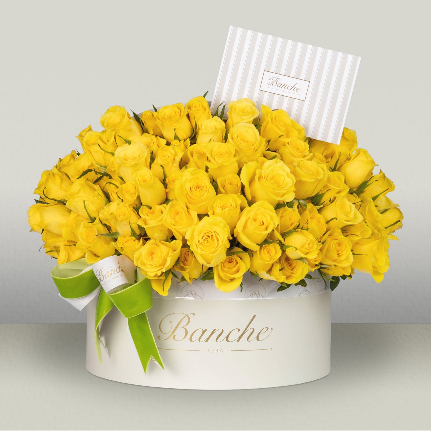 Yellow Rose