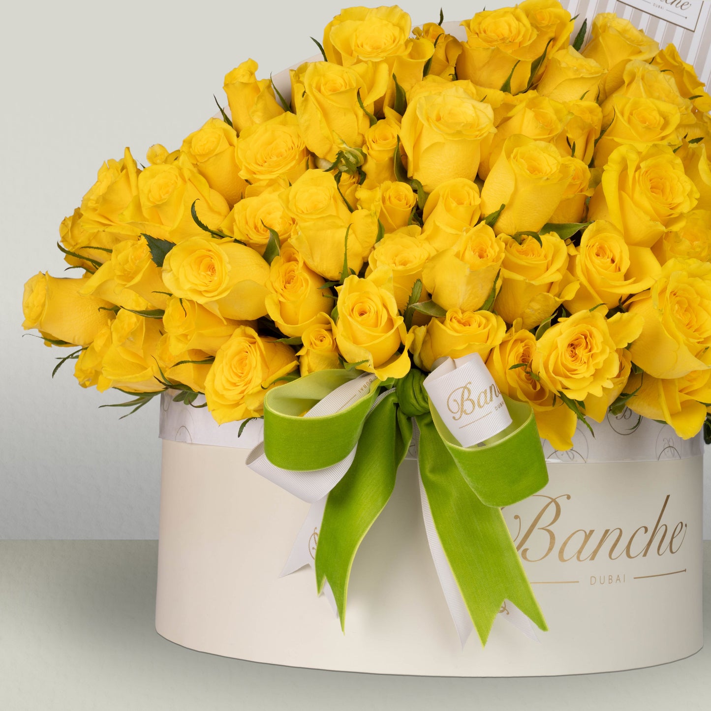 Yellow Rose