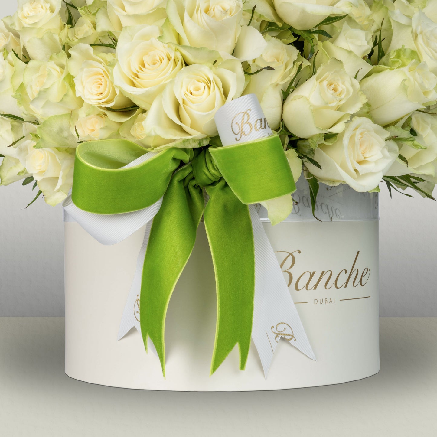 White Rose